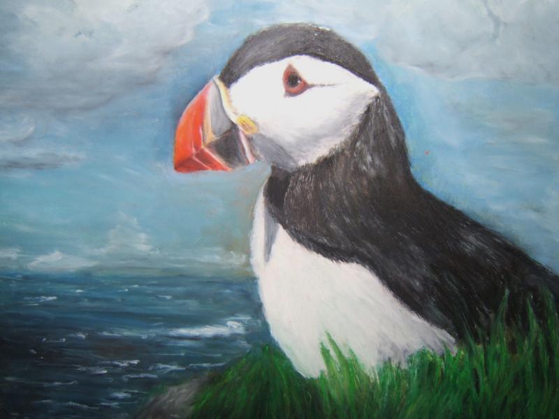 800x600 Puffin On Clifftop Oil Pastel Painting - Puffin Painting