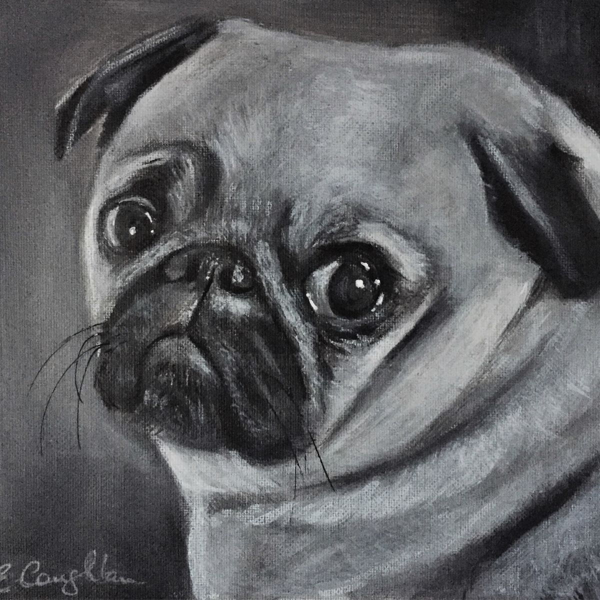 1200x1200 Pug (Elaine Coughlan) - Pug Painting