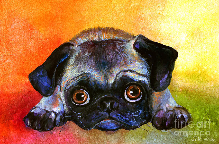 900x593 Pug Dog Portrait Painting Painting By Svetlana Novikova - Pug Painting