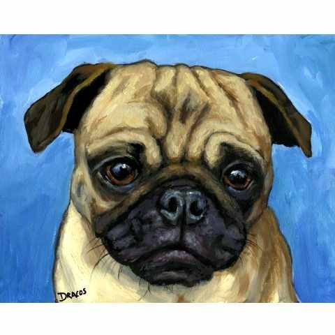 480x480 Pug On Lt Blue Dog Art Print Of Original Painting By Dottie - Pug Painting