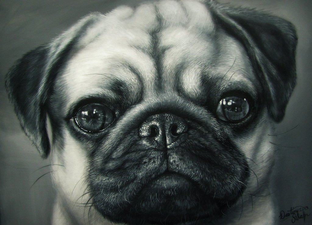 1024x739 Pug Painting By Straewefin - Pug Painting