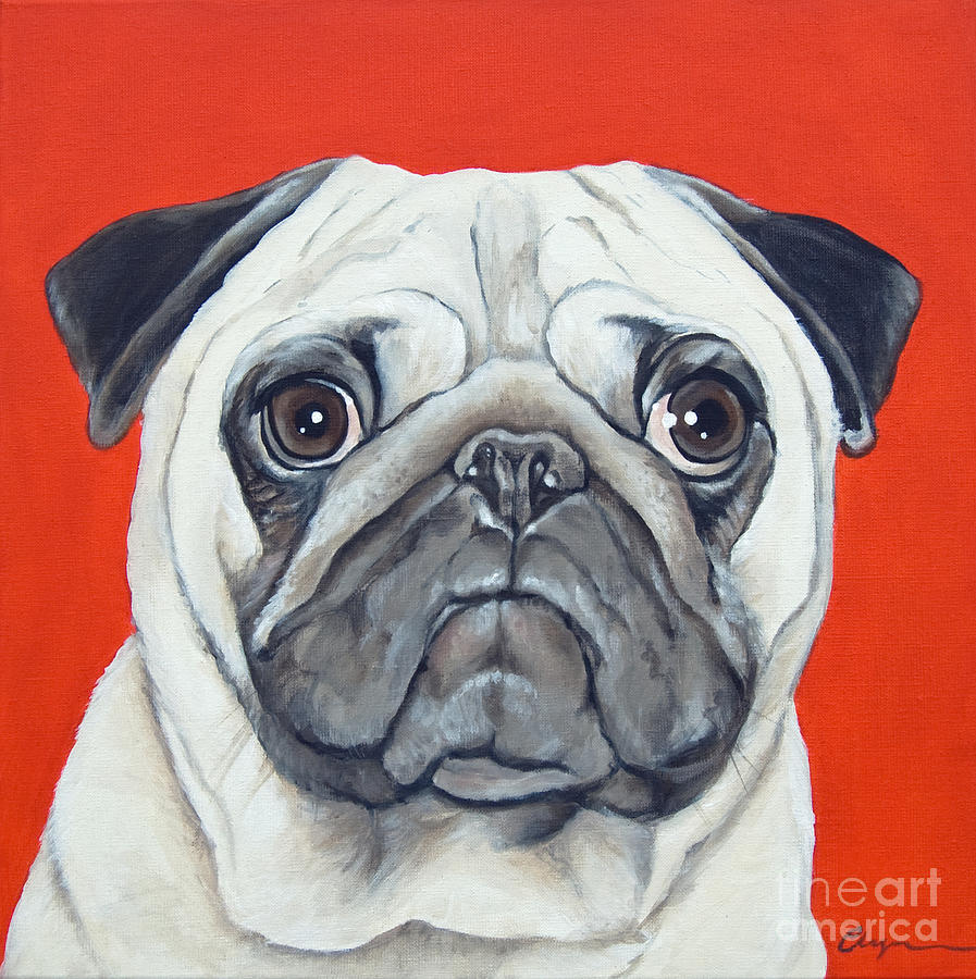 897x900 Puzzled Pug Painting By Model Dogz - Pug Painting