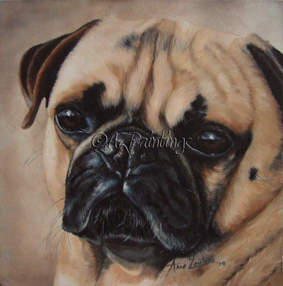 989x1000 Sunny Pug - Pug Painting