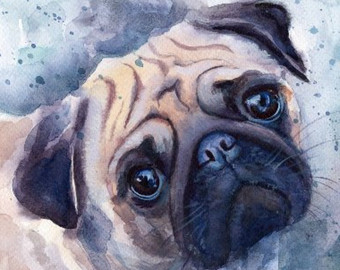 340x270 Watercolor Pug Painting Pug Art Print Pug Poster Blue Pug - Pug Painting