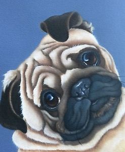 247x300 Fawn Pug Painting Fine Art Giclee Print Picture Ebay - Pug Painting