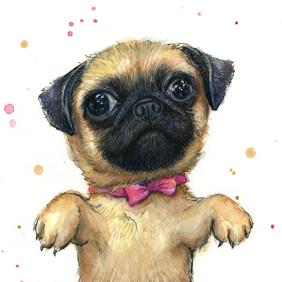 900x900 Cute Pug Puppy Painting By Olga Shvartsur - Pug Painting