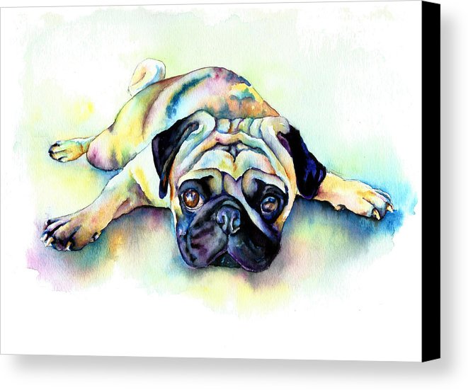 661x551 Pug Laying Flat Canvas Print Canvas Art By Christy Freeman - Pug Painting Canvas