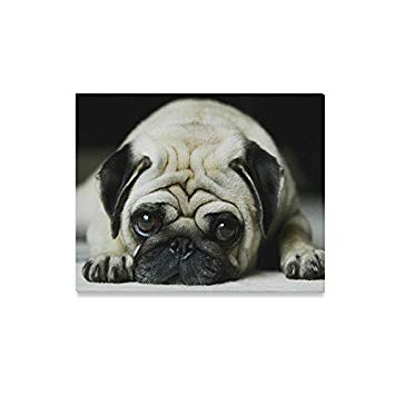 355x355 Christmas Decor Funny Cute Lazy Pug Dog Oil Painting - Pug Painting Canvas
