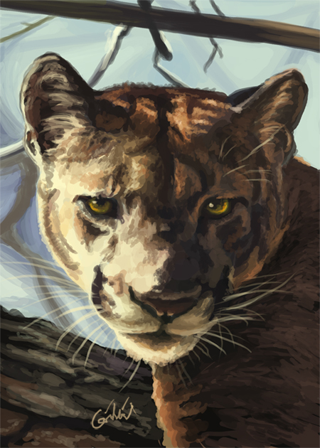 450x630 Puma - Puma Painting