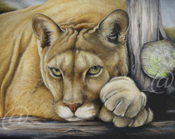 340x270 Puma Portrait Etsy - Puma Painting