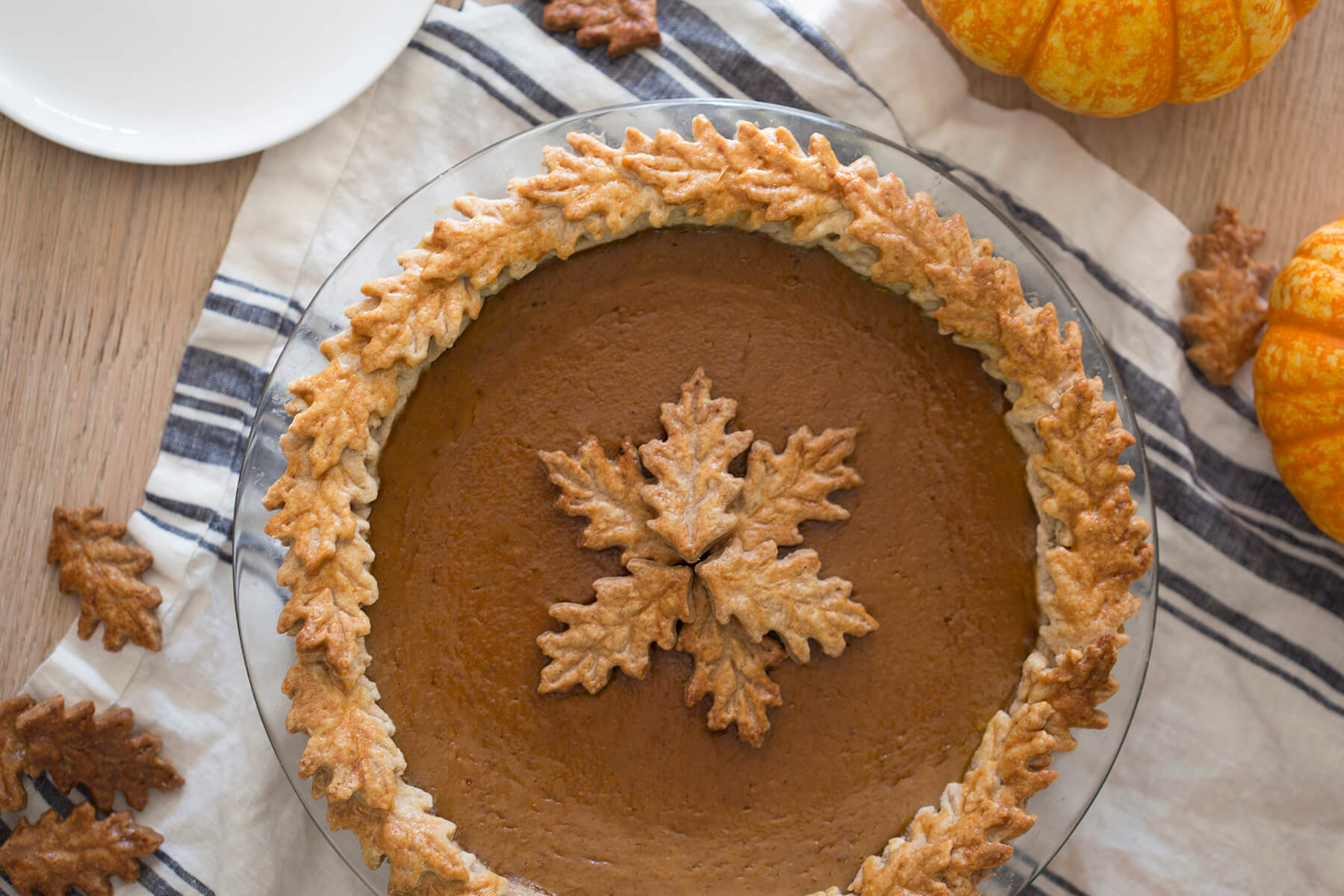 1800x1200 Pumpkin Pie - Pumpkin Pie Painting