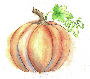 300x264 Pumpkin Watercolor Paintings - Pumpkin Watercolor Painting