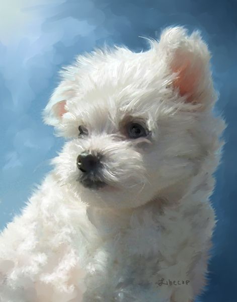 471x600 Maltese Puppy Painting Art Maltese, Dog And Paintings - Puppy Painting