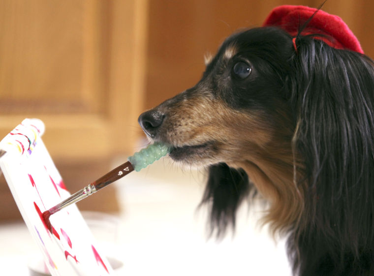 760x562 Puppy Paint Blind Dog Raises Money For Animal Rescue By Painting - Puppy Painting