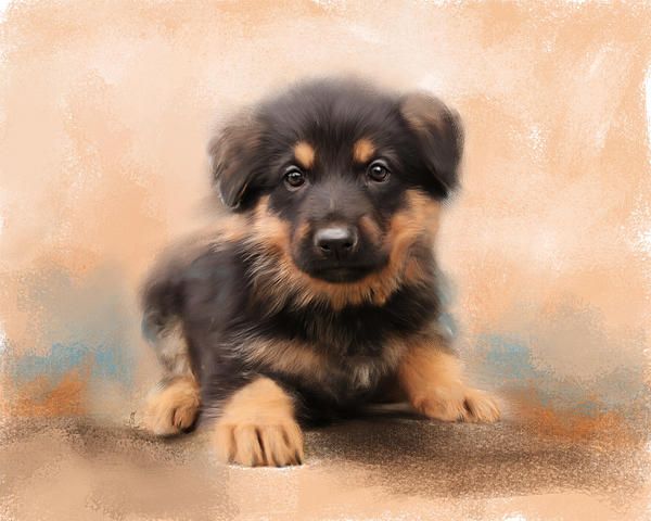 600x480 German Shepherd Puppy Painting Art And Paintings - Puppy Painting