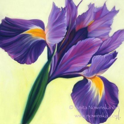 423x423 Pack Of 4, - Purple Iris Painting