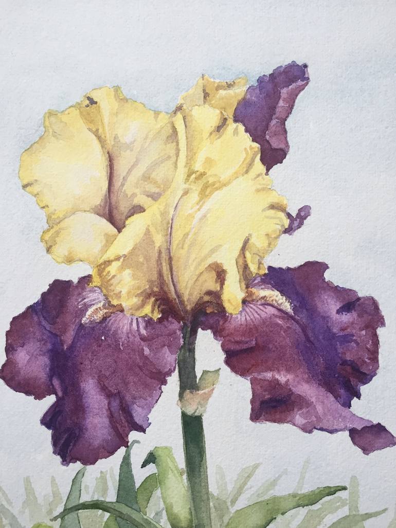 770x1027 Saatchi Art Yellow And Purple Iris Painting By Krystyna Szczepanowski - Purple Iris Painting