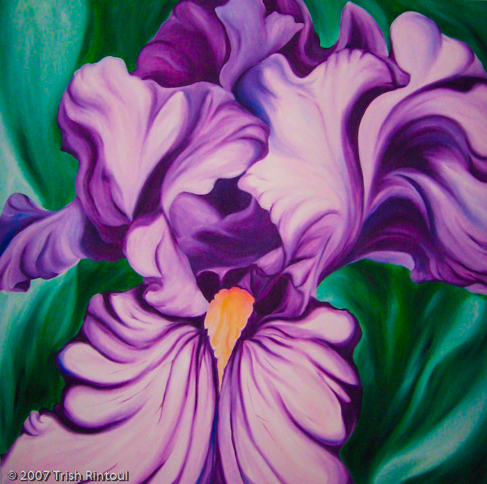 700x697 Trish Rintoul's Web Gallery - Purple Iris Painting