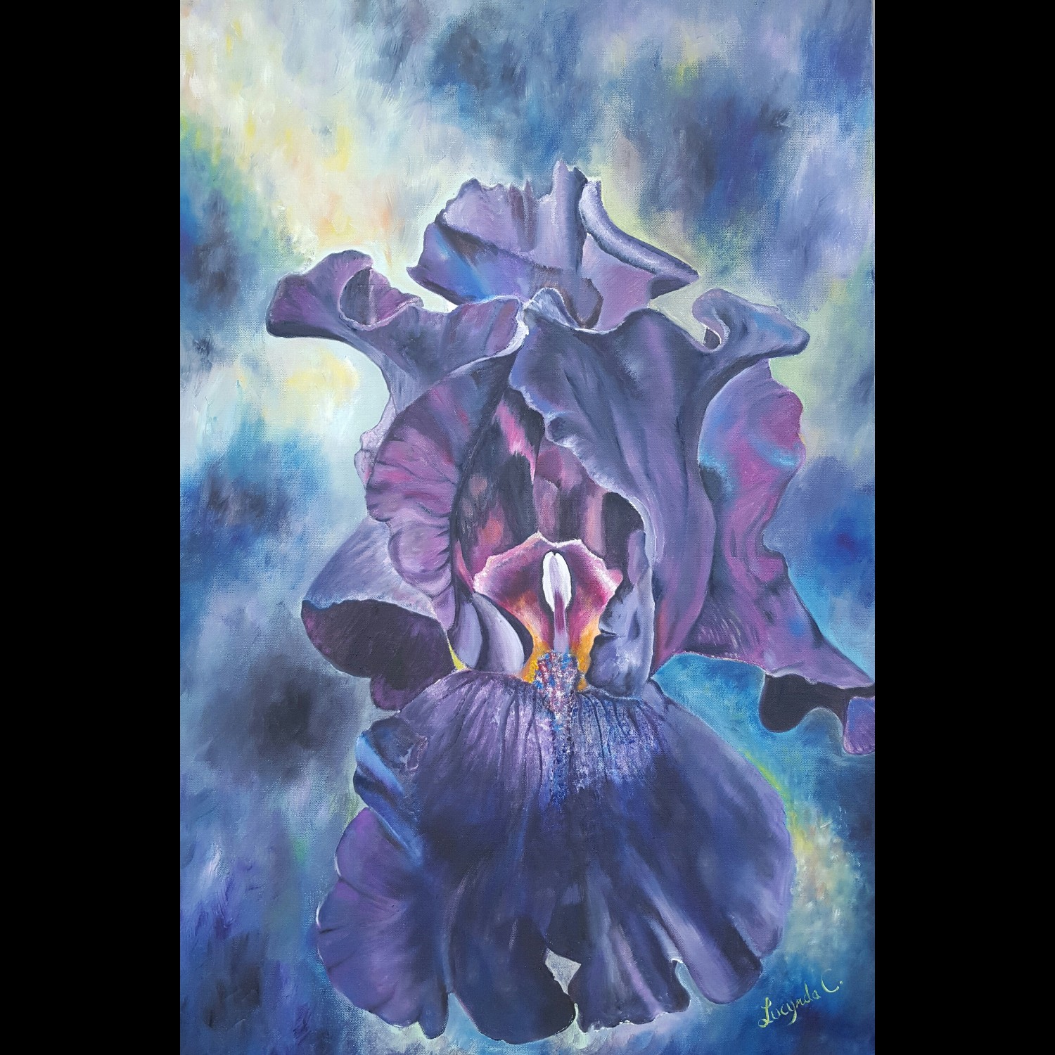 1500x1500 Deep Purple Iris, Oil 24x36 - Purple Iris Painting