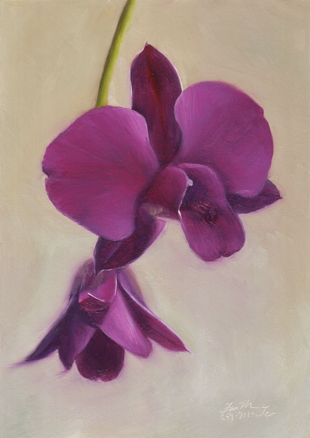 1000x1414 Purple Dendrobium Orchid Painting No. 2 Daily Paintings - Purple Orchid Painting