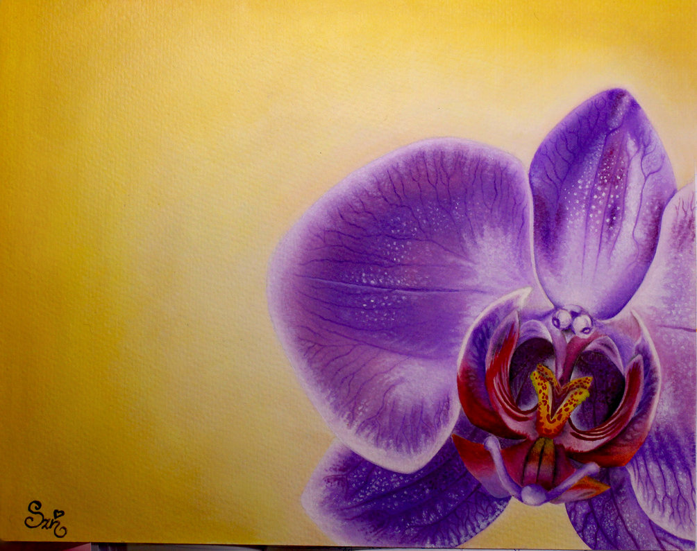 1004x795 Purple Orchid Oil Painting By Nikirebel - Purple Orchid Painting