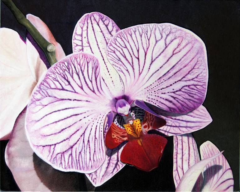 770x616 Saatchi Art Purple Orchid Painting By Matthew Bates - Purple Orchid Painting