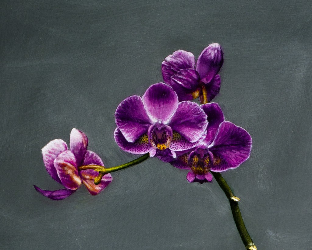 1024x822 Beautiful Flowers 2019 Orchid Flower Painting Beautiful Flowers - Purple Orchid Painting