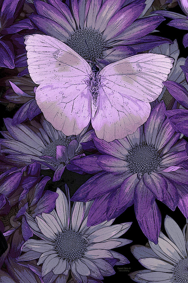 600x900 Purple Butterfly Painting By Jq Licensing - Purple Painting