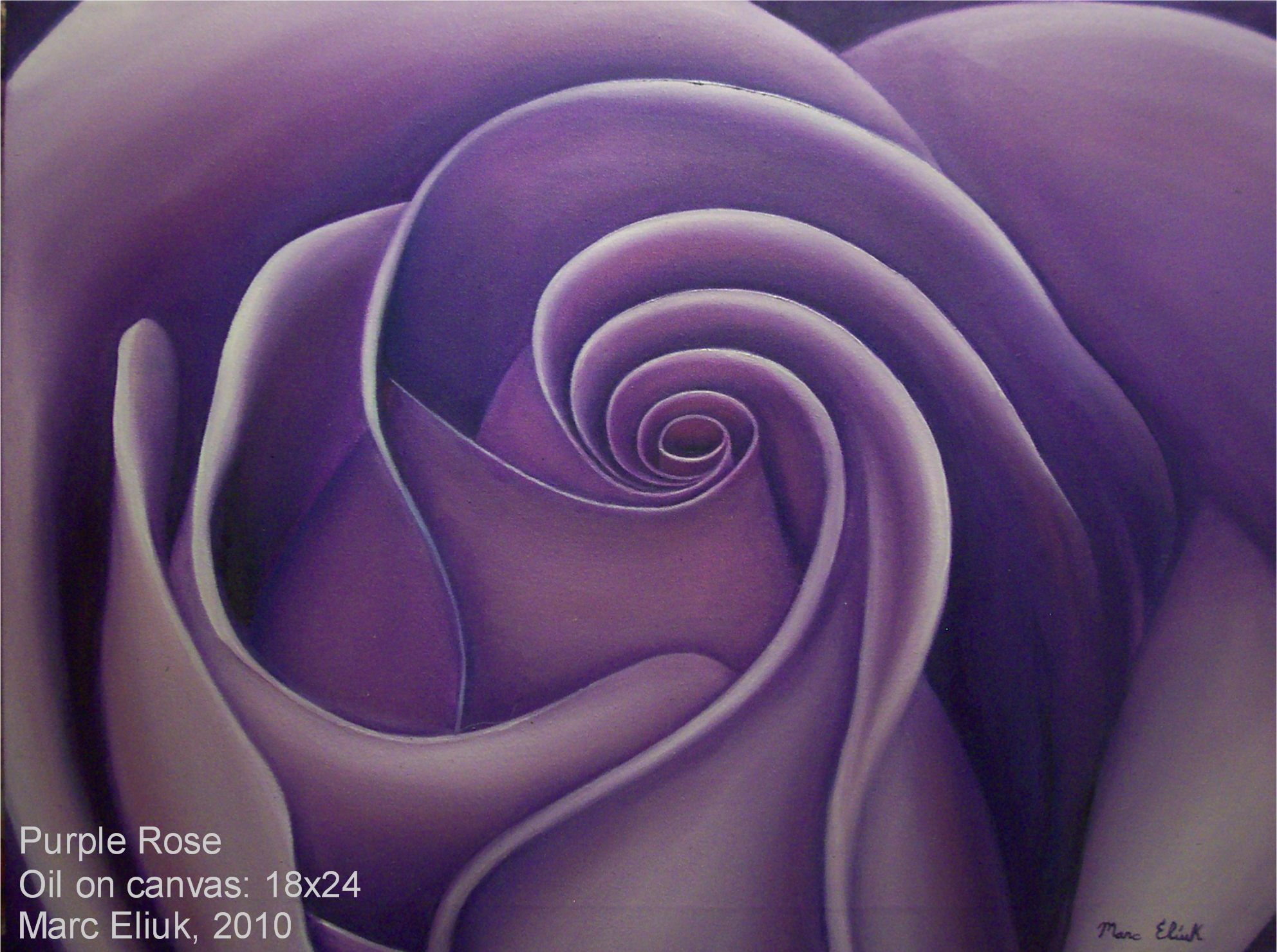 1984x1479 Purple Rose - Purple Rose Painting