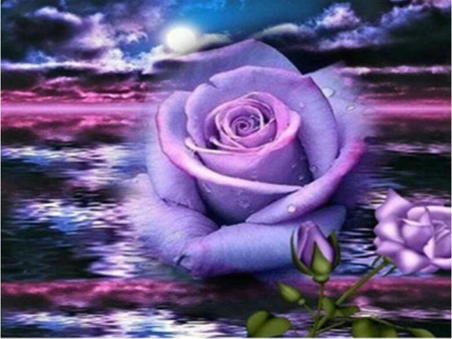 640x479 Diamond Embroidery 5d Diy Diamond Painting Purple Rose Flower - Purple Rose Painting