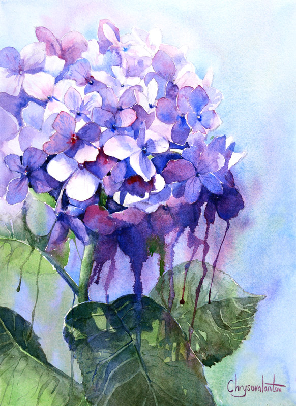 582x800 Watercolor Painting Of Pink Purple Hydrangea Flower - Purple Watercolor Painting