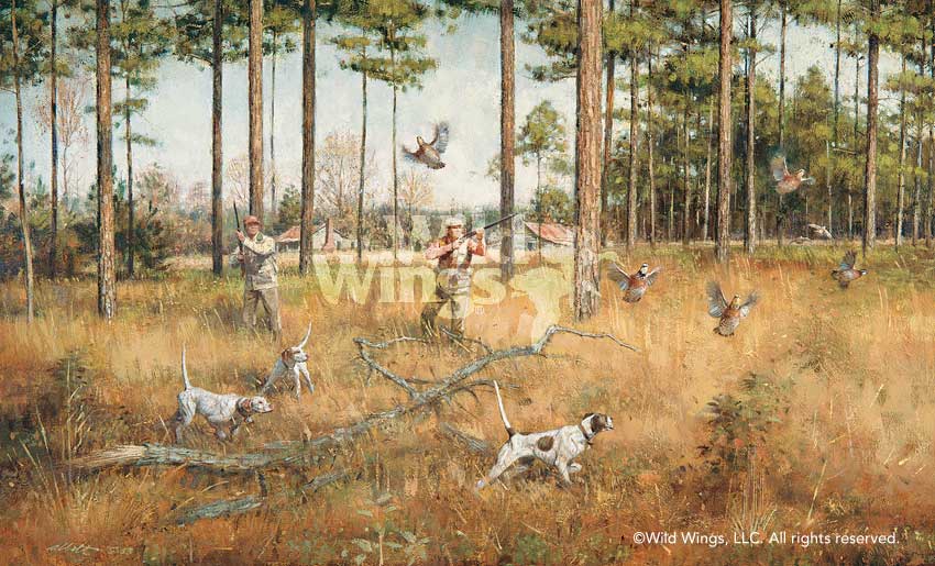 850x515 Southern Style Quail Hunting Limited Edition Print Wild Wings - Quail Hunting Painting