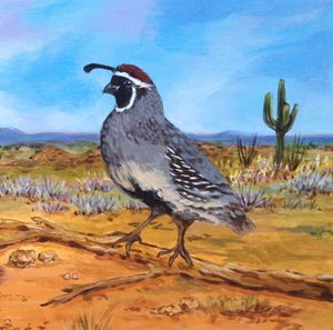 300x297 Buy Quail, Birds, Animals, Birds, Amp Fish, Paintings Amp Prints - Quail Painting