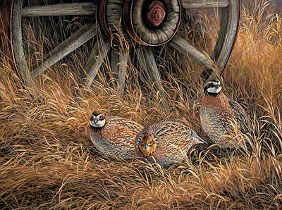 400x298 Quail Art Wild Wings - Quail Painting