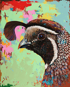240x300 Quail Painting By David Palmer - Quail Painting