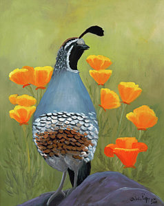238x300 Quail Poppies Painting By Peterson, Julie - Quail Painting