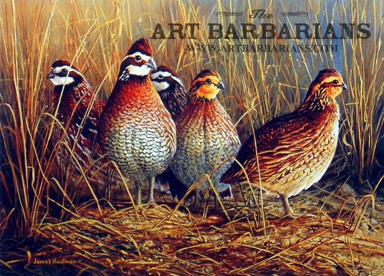 750x540 Wildlife Art Prints Plus Original Paintings With A Wide Selection - Quail Painting