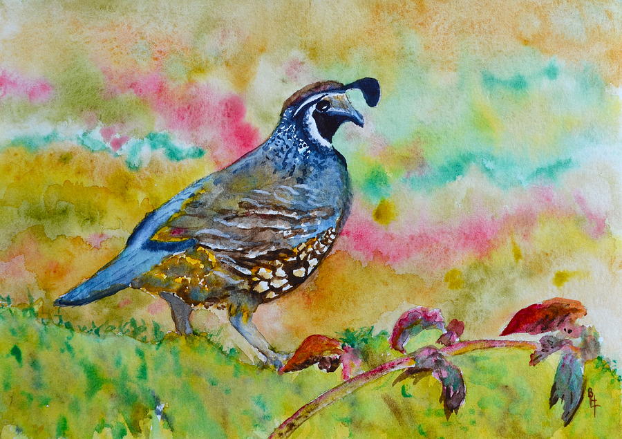 900x635 California Quail Paintings Fine Art America - Quail Painting