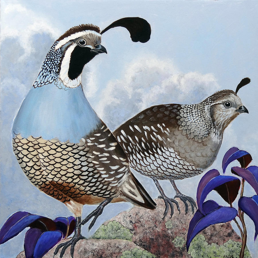 900x900 Cloudy California Quail Painting By Ande Hall - Quail Painting