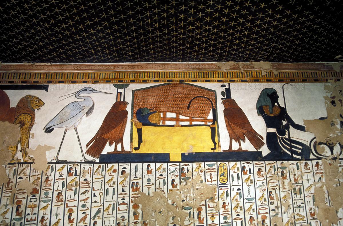 1200x791 Science Source - Queen Nefertari Tomb Painting