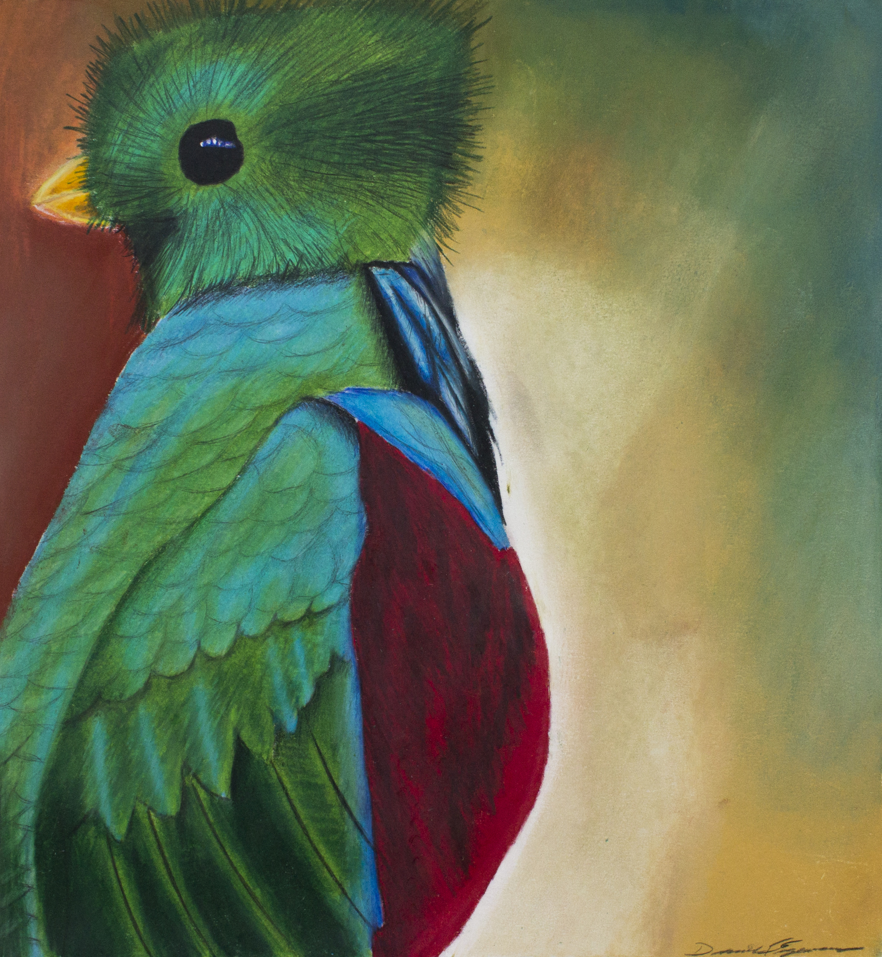 1771x1920 Drawings Amp Paintings - Quetzal Painting