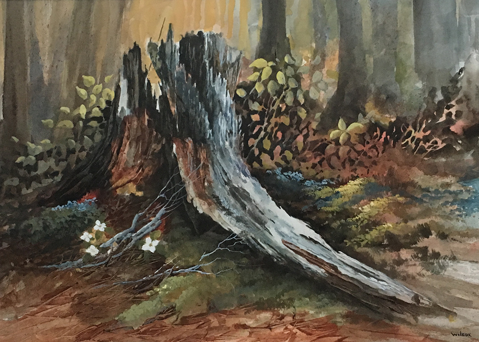 978x699 Liz Wilcox Paintings For Sale Atlantic Fine Art - R Wilcox Painting