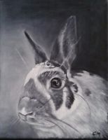 154x200 Oil Painting Bunny Rabbit Pet Portrait Grey Scale Painting 8 X 10 - Rabbit Oil Painting