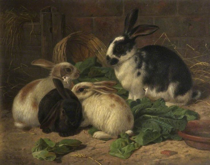736x578 Rabbit Oil Paintings Chics Type - Rabbit Oil Painting