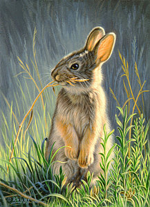 217x300 Highly Selective Painting By Paul Krapf - Rabbit Painting
