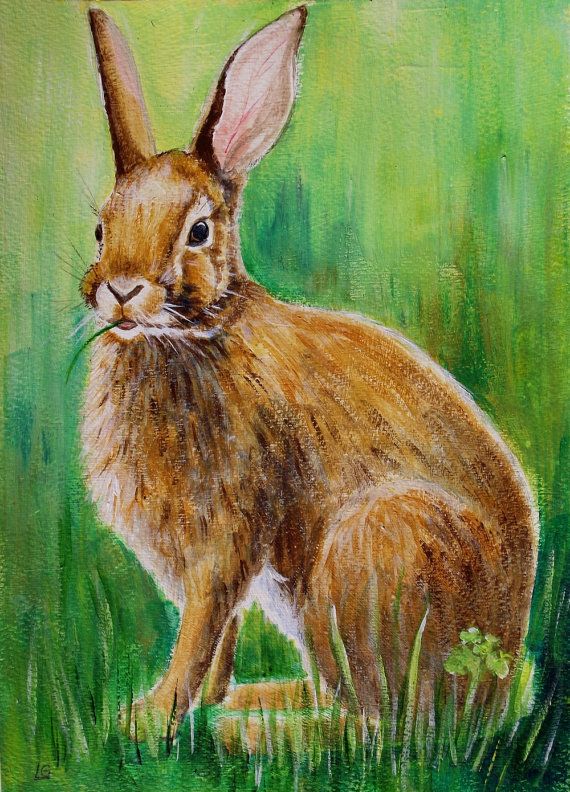 570x792 The 120 Best Rabbits Images On Rabbit Art, Bunnies - Rabbit Painting
