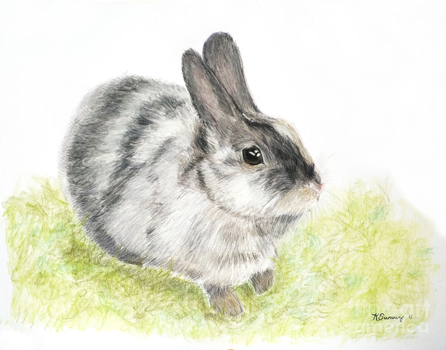 900x707 Pet Rabbit Gray Pastel Painting By Kate Sumners - Rabbit Painting Images