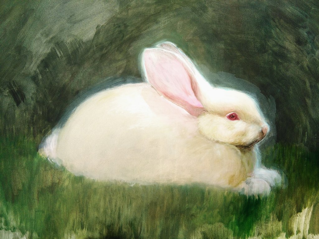 1024x768 Rabbit Painting By Beth223 - Rabbit Painting Images