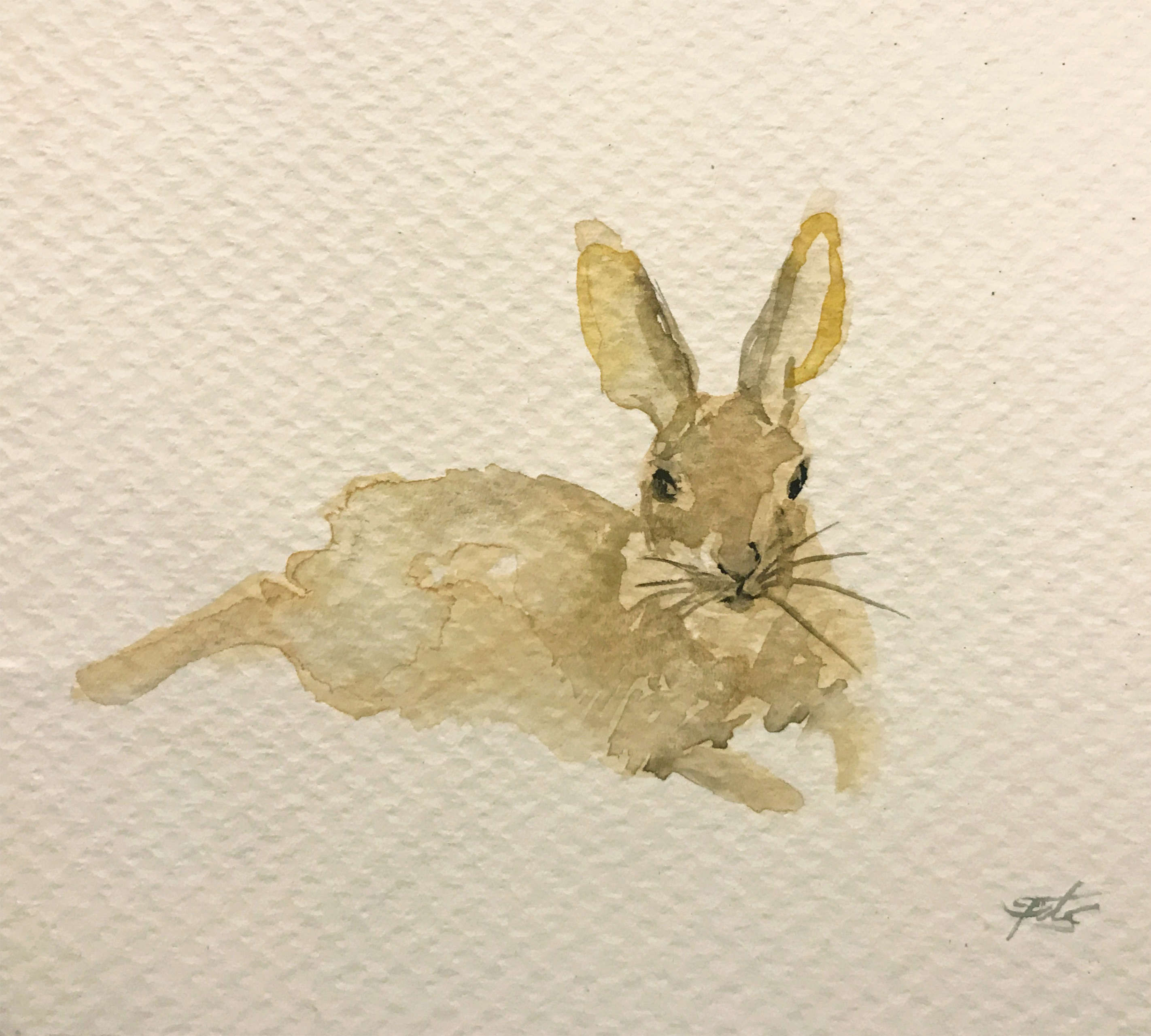 2844x2560 Cosmo - Rabbit Watercolor Painting