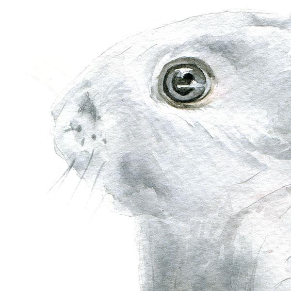 600x600 Gray Bunny Rabbit Original Watercolor Painting Susan Windsor - Rabbit Watercolor Painting